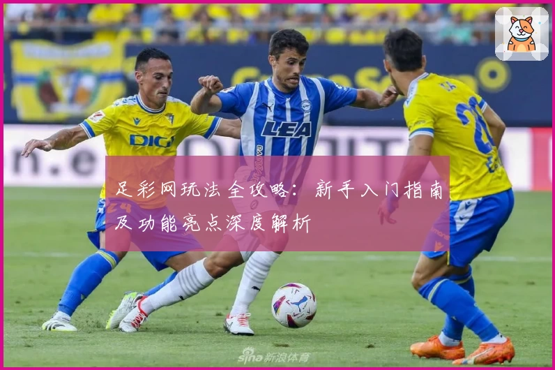 足彩网玩法全攻略：新手入门指南及功能亮点深度解析
