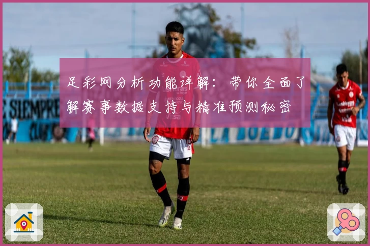 足彩网分析功能详解：带你全面了解赛事数据支持与精准预测秘密