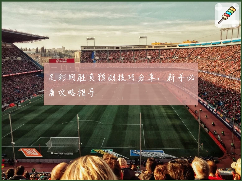 足彩网胜负预测技巧分享,新手必看攻略指导