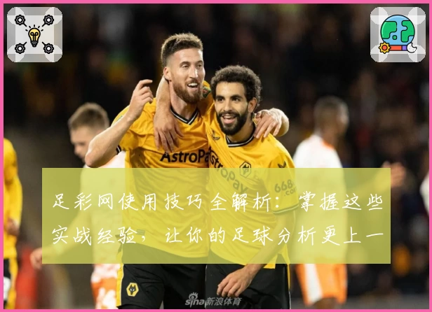足彩网使用技巧全解析：掌握这些实战经验，让你的足球分析更上一层楼