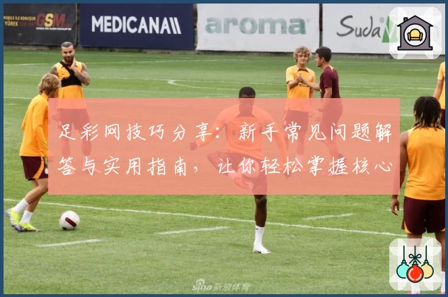 足彩网技巧分享：新手常见问题解答与实用指南，让你轻松掌握核心玩法