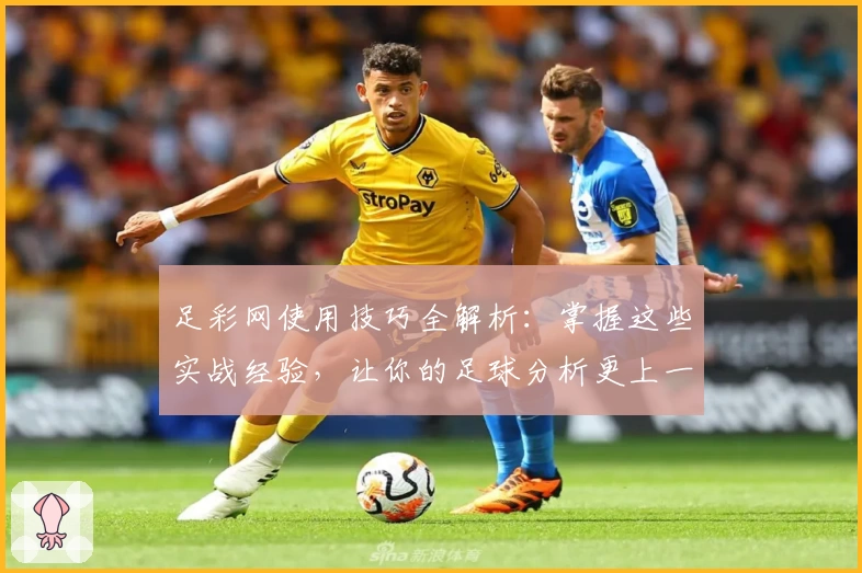 足彩网使用技巧全解析：掌握这些实战经验，让你的足球分析更上一层楼